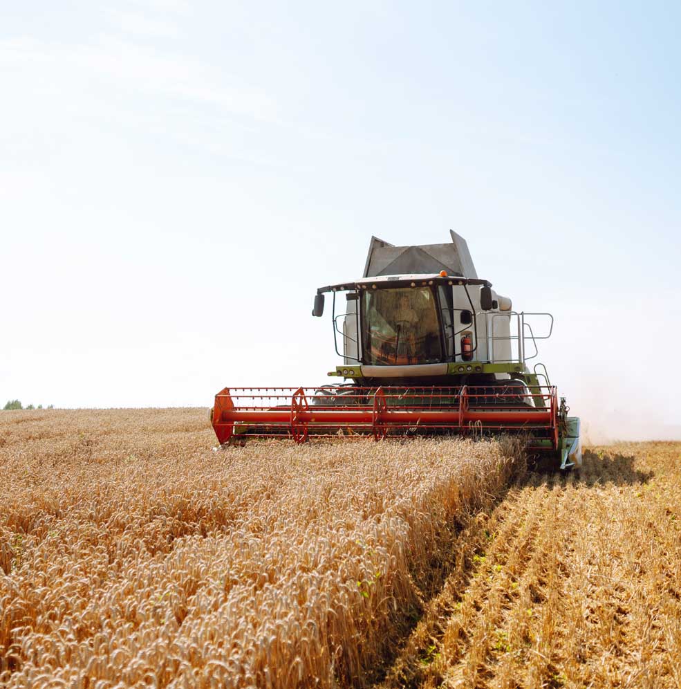 Discover the Journey That Built Our Story