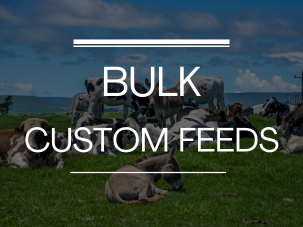 Bulk Custom Feeds
